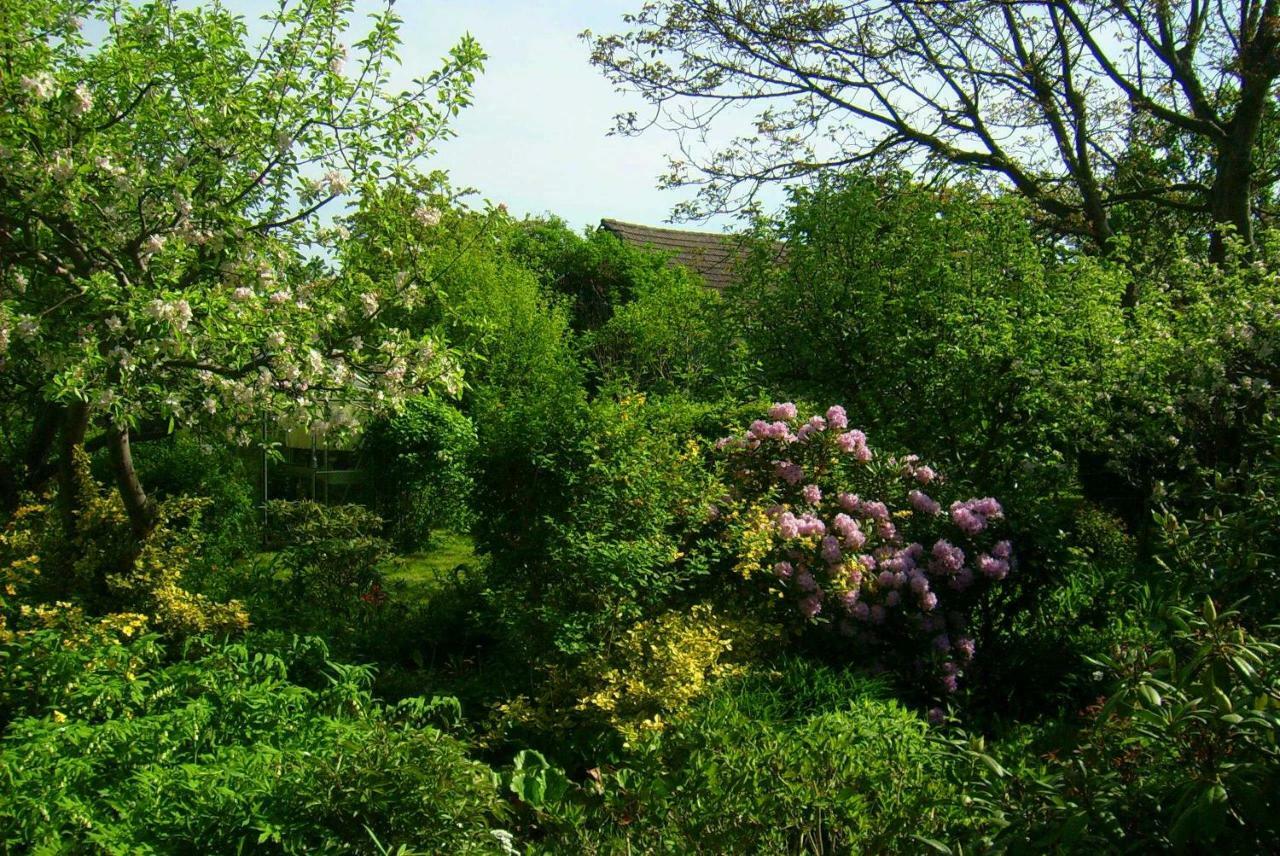 Ferienhaus Annemarie Senftenberg Bagian luar foto